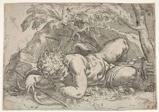 Sleeping Cupid