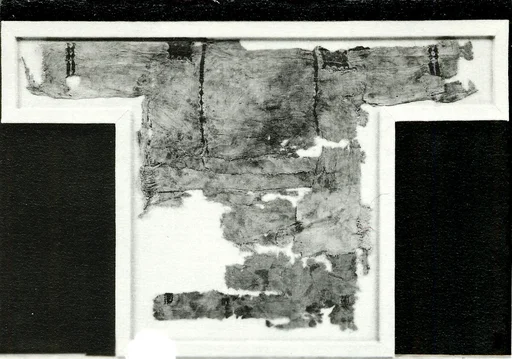 Dress Fragments