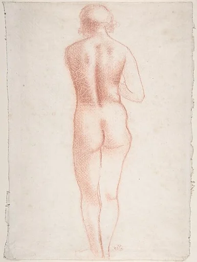 Standing Nude Seen from the Back