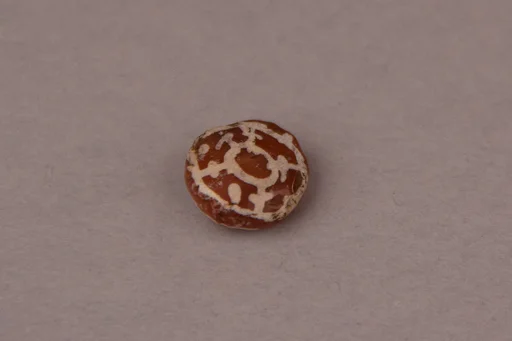 Bead
