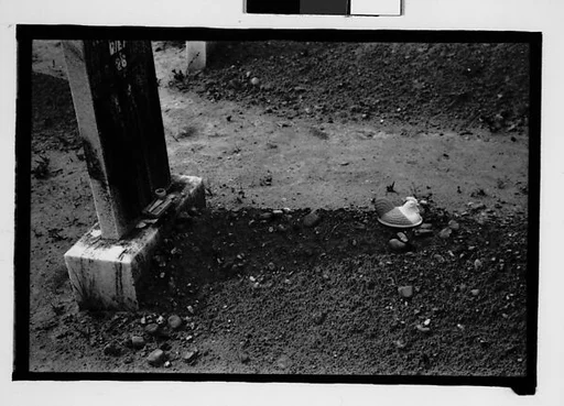[Grave with Rooster Dish on Plot, Alabama]