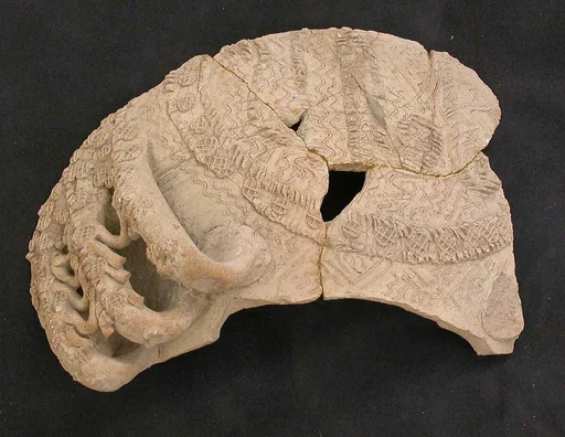 Fragment of a Jar