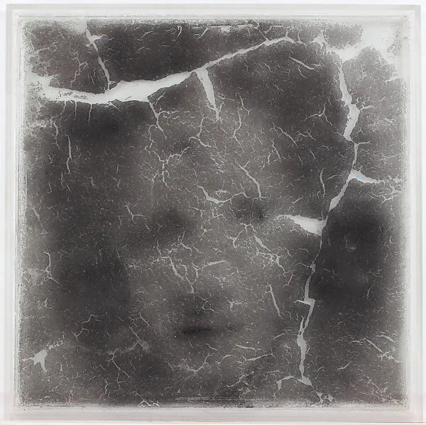 Narcisos — Oscar Muñoz