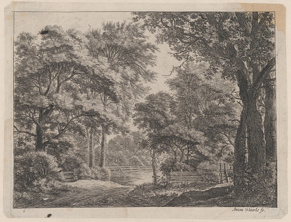 The Trimmed Groves — Anthonie Waterloo