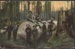 In the Timber Belt in Washington.