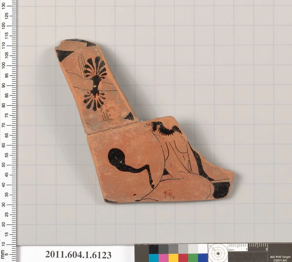 Terracotta fragment of a kylix (drinking cup) — Unknown