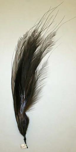 Aigrette