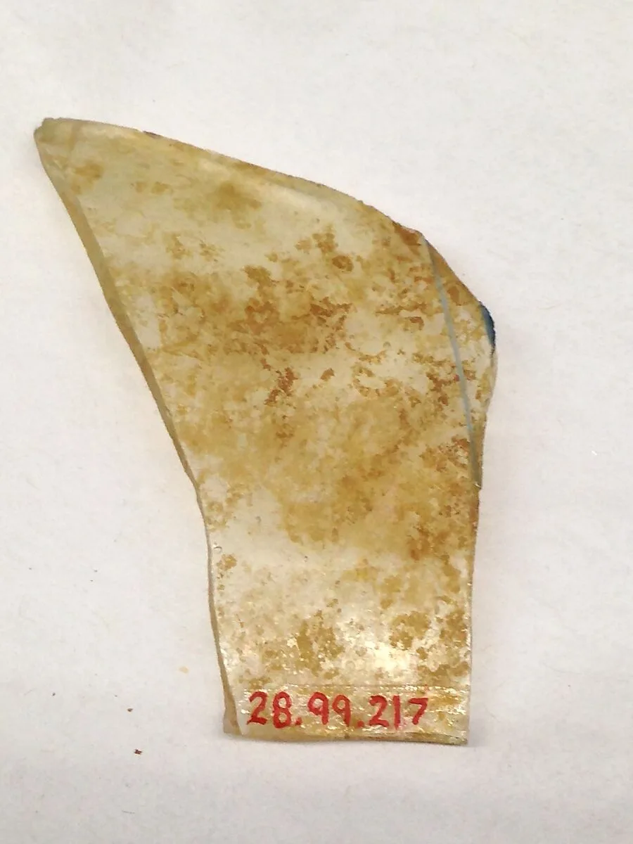 Fragment — Unknown