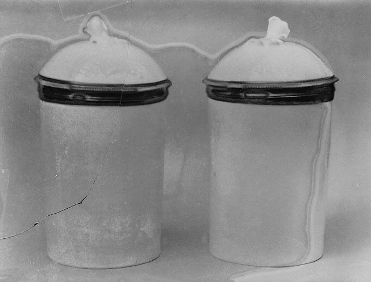 Pair of jars with covers — L.D. Institute of Indology|Mennecy