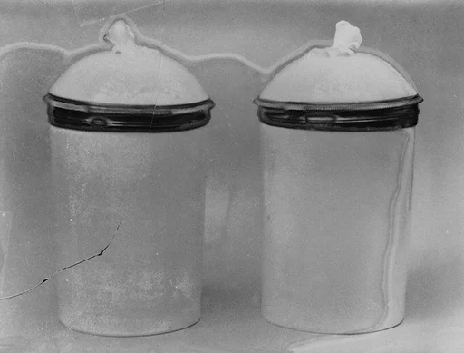 Pair of jars with covers