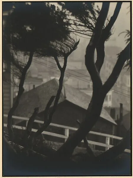 Telegraph Hill, San Francisco — Johan Hagemeyer