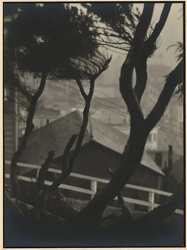 Telegraph Hill, San Francisco