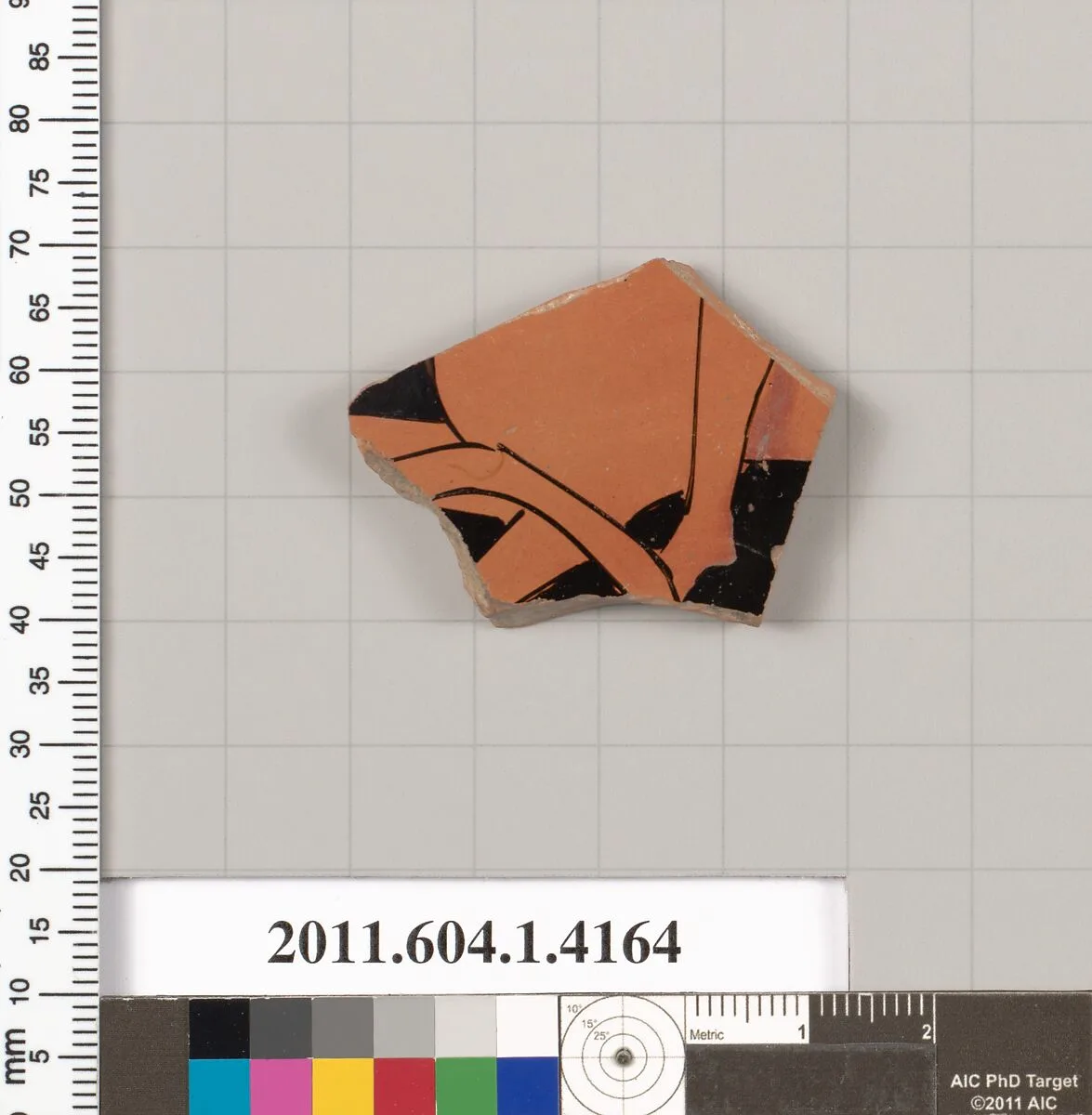 Terracotta fragment of a kylix (drinking cup) — Unknown