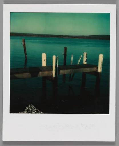 [Dock Pilings]