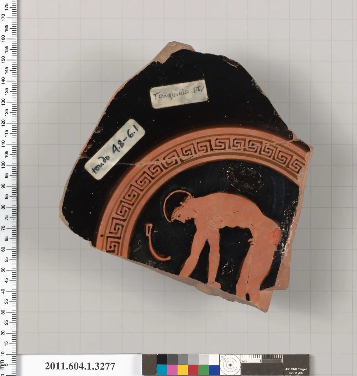 Terracotta fragment of a kylix (drinking cup) — Tarquinia Painter