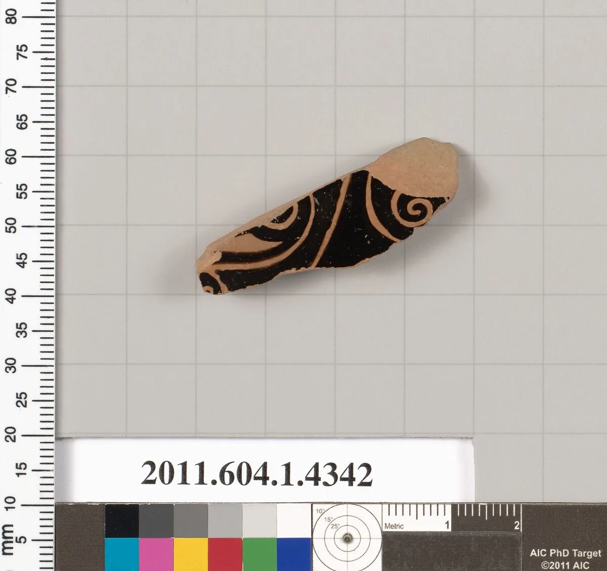 Terracotta fragment of a kylix (drinking cup) — Unknown