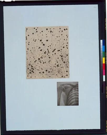 Fourteen Etchings 6, from the ¦Fourteen Etchings¦ portfolio