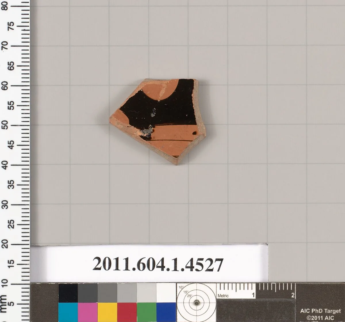 Terracotta fragment of a kylix (drinking cup) — Unknown