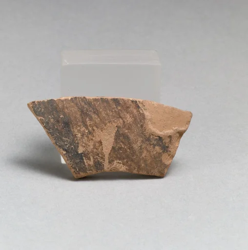 Vase fragment