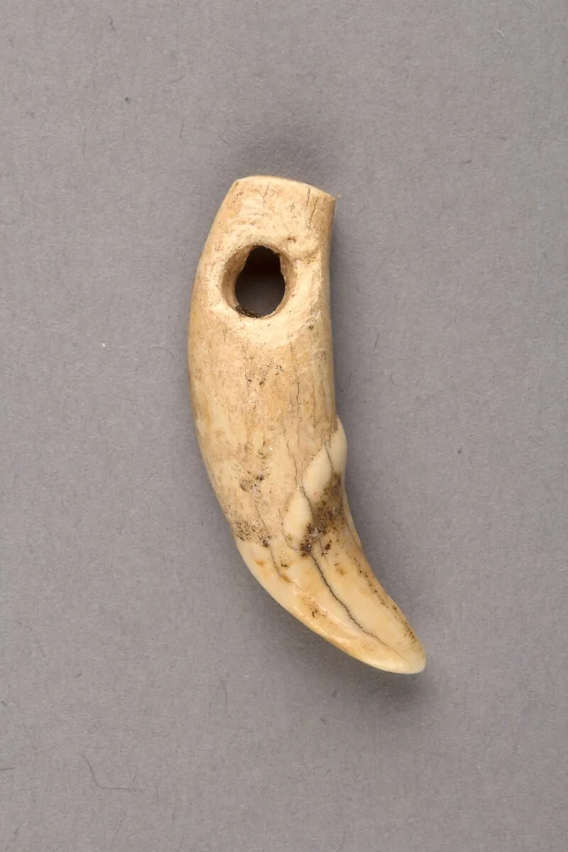 装身具|Body ornament — Unknown