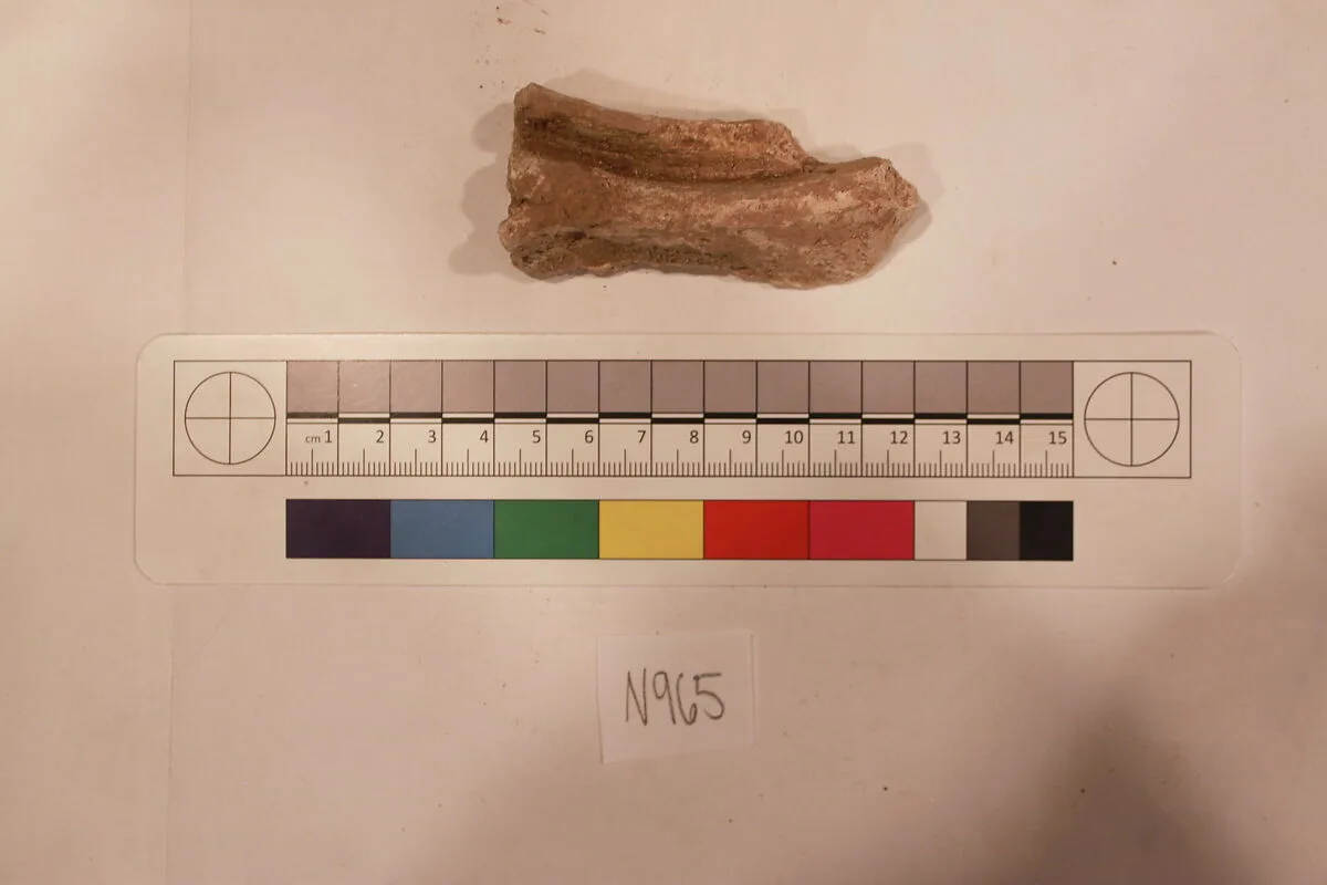 Stucco Fragment — Unknown