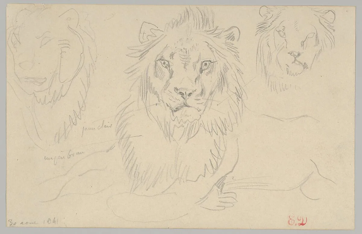 A Lion, Full Face, August 30, 1841 — Eugène Delacroix