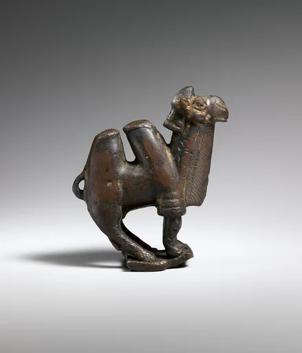 Bactrian camel