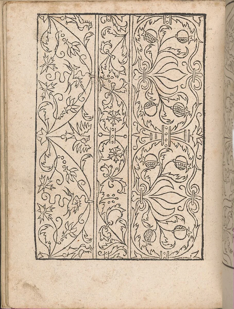 New Modelbüch allen Nägerin u. Sydenstickern (Page 17v) — Hans Hoffman|Jacob Frölich