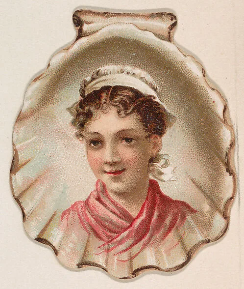 Seashell, from the Novelties series (N228, Type 3) issued by Kinney Bros. — Kinney Brothers Tobacco Company