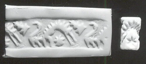Cylinder seal with geometric design — Unknown