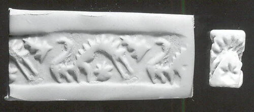 Cylinder seal with geometric design
