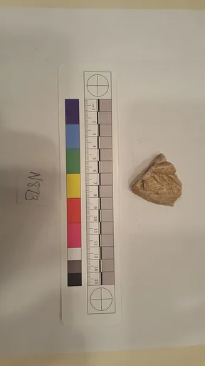 Stucco Fragment