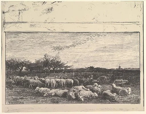The Sheep Meadow