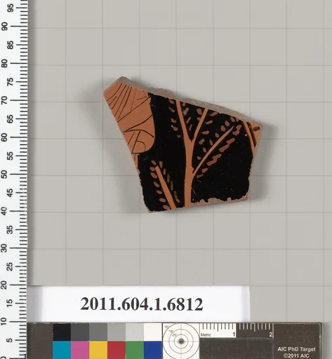 Terracotta fragment of a kylix (drinking cup)