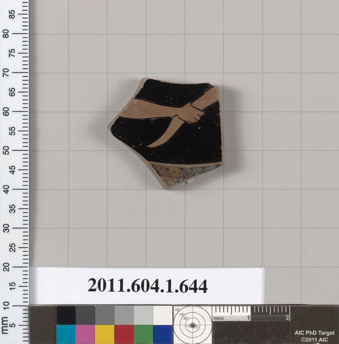 Terracotta fragment of a kylix (drinking cup) — Unknown