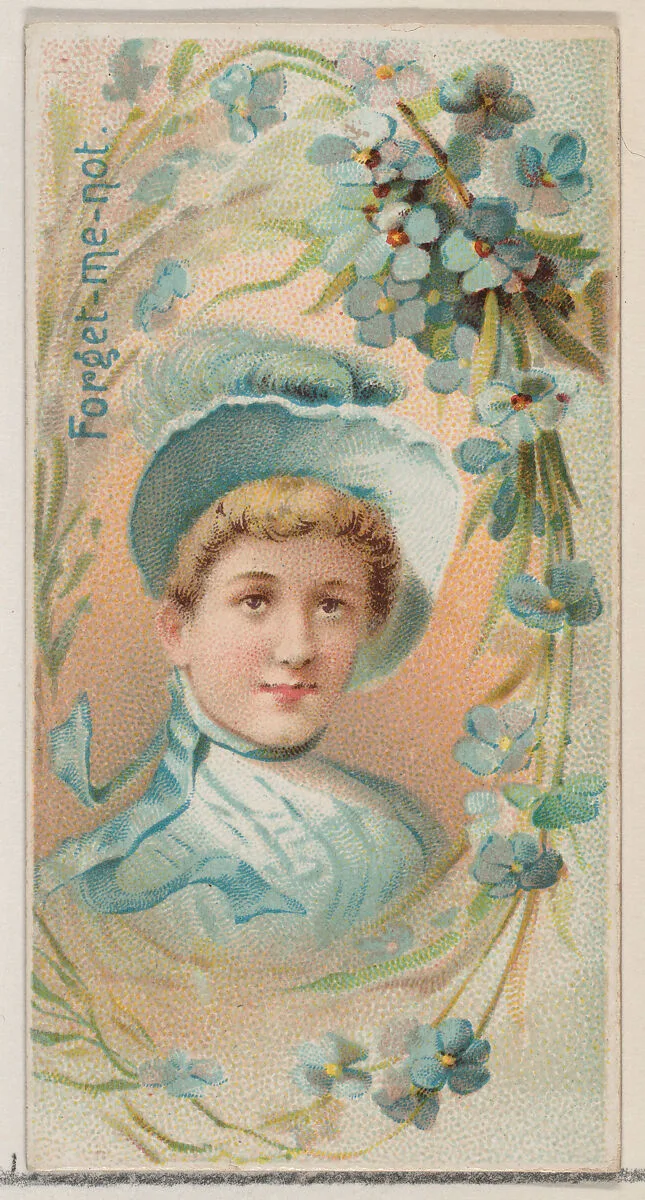 Forget-Me-Not, from the series Floral Beauties and Language of Flowers (N75) for Duke brand cigarettes — Donaldson Brothers|American Tobacco Company