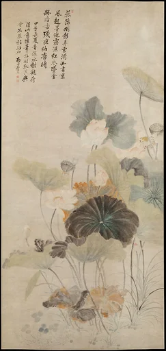 清 佚名 仿惲壽平 夏夜清荷圖 軸|Lotuses on a summer evening