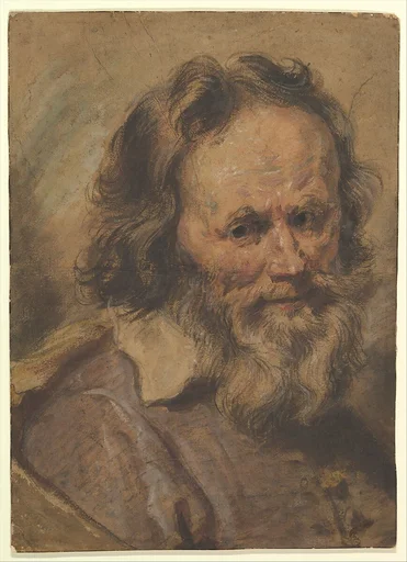 Head of a Bearded Man