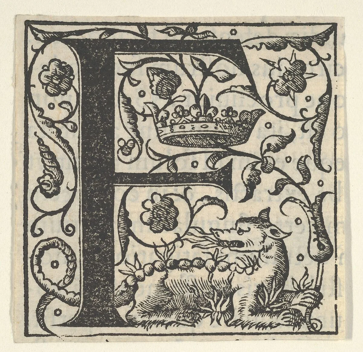 Initial letter F with salamander and crown (related to King Francis I) — Unknown