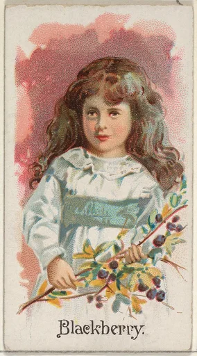 Blackberry, from the Fruits series (N12) for Allen & Ginter Cigarettes Brands