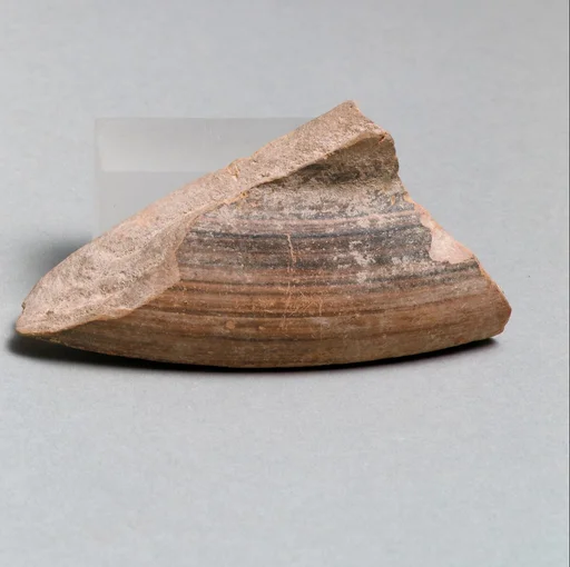 Vase fragment
