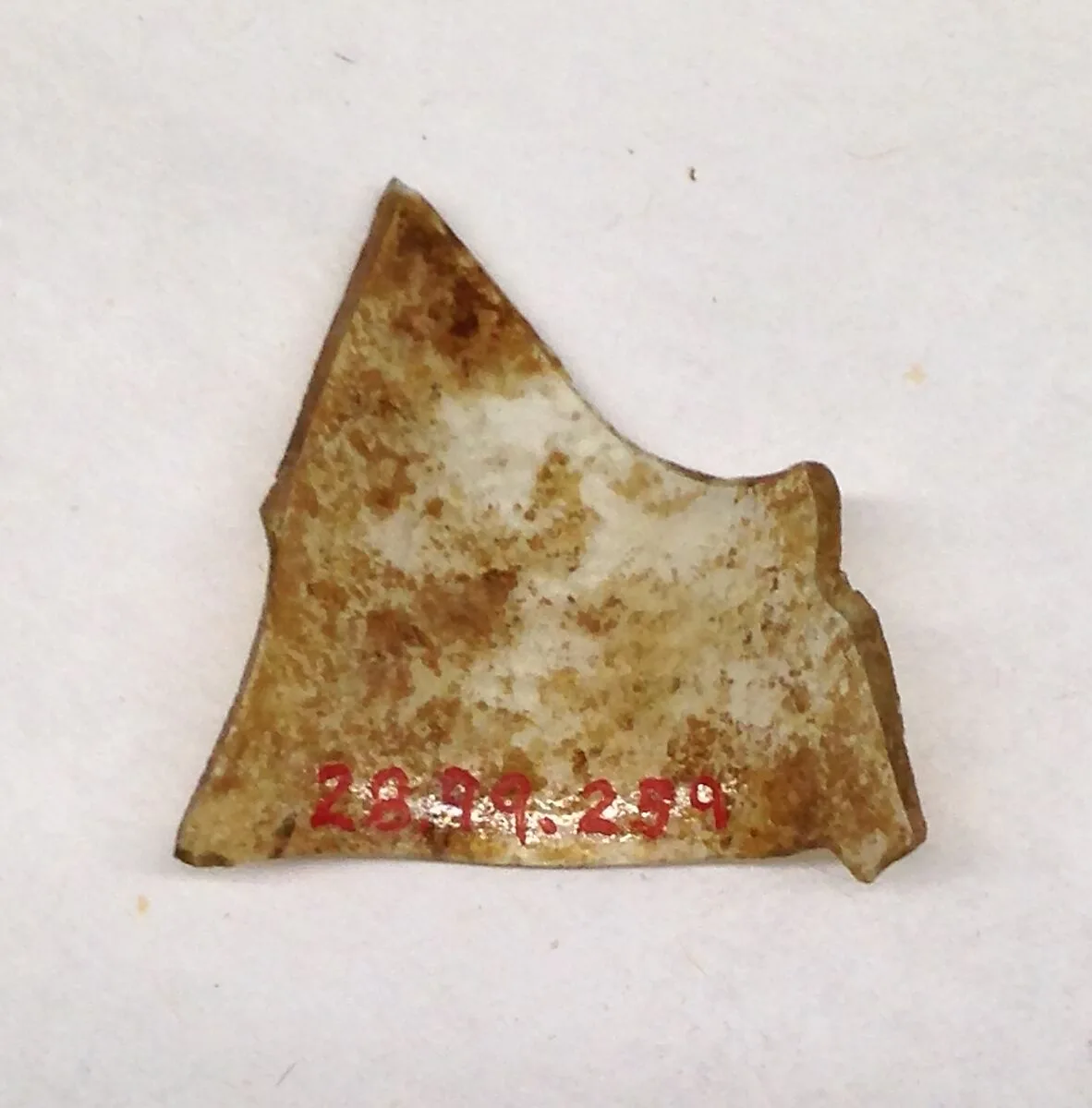 Fragment — Unknown