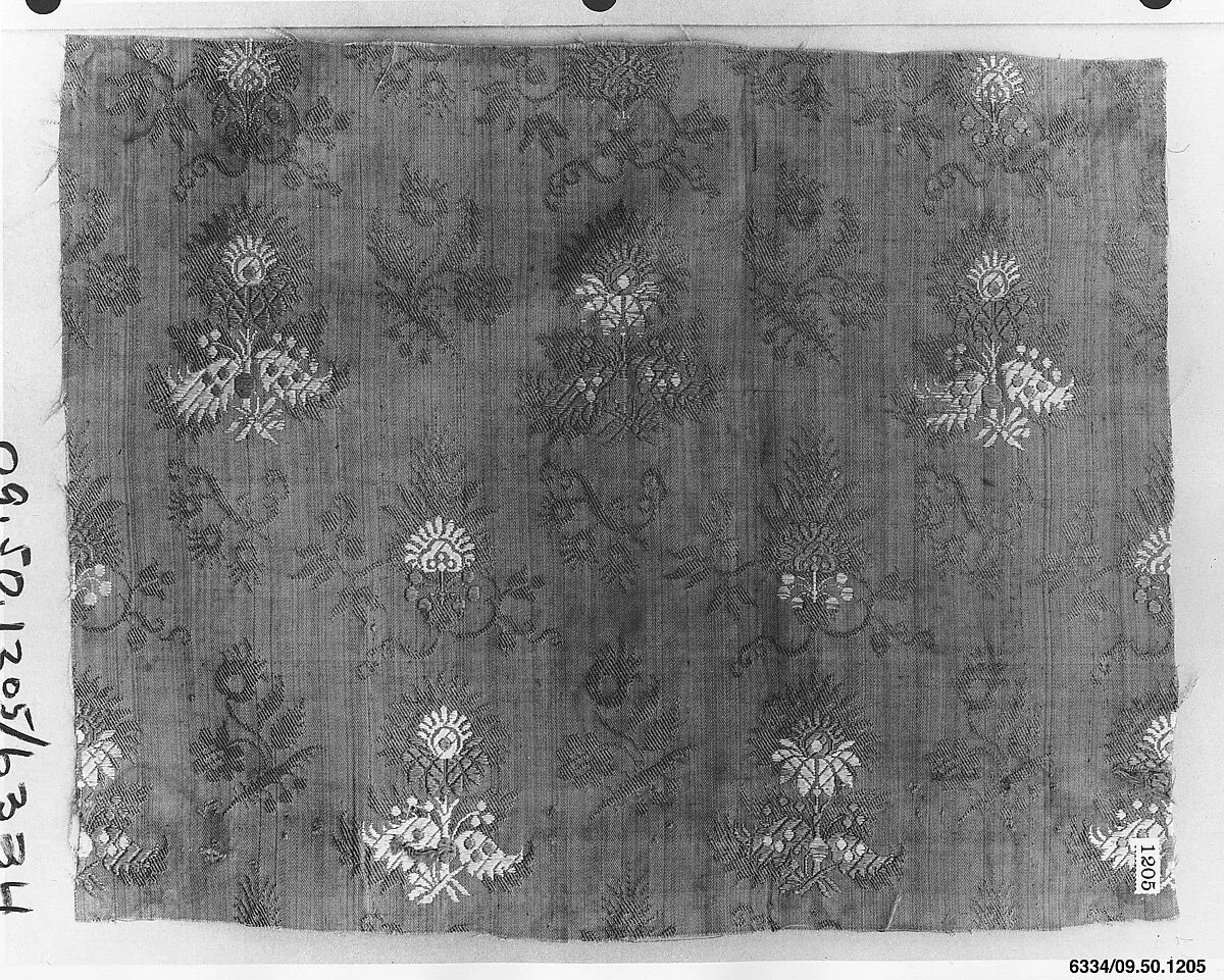 Fragment — Unknown