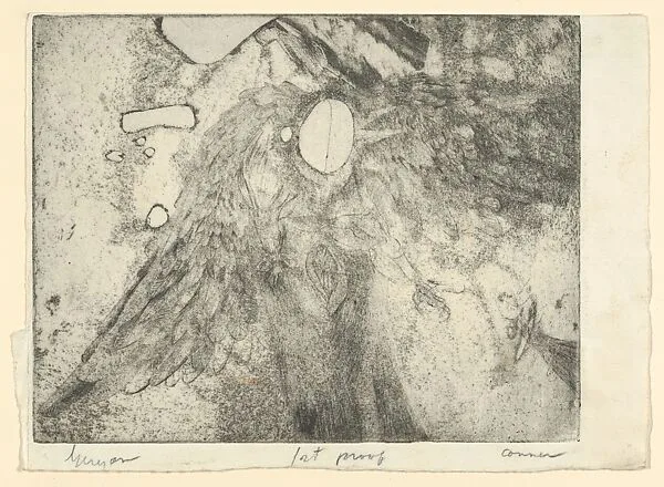 GERYON — Bruce Conner