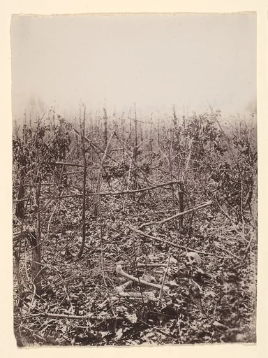 [The Wilderness Battlefield]
