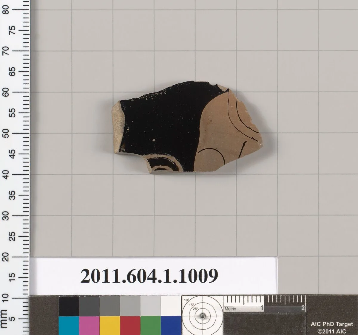 Terracotta fragment of a kylix (drinking cup) — Unknown