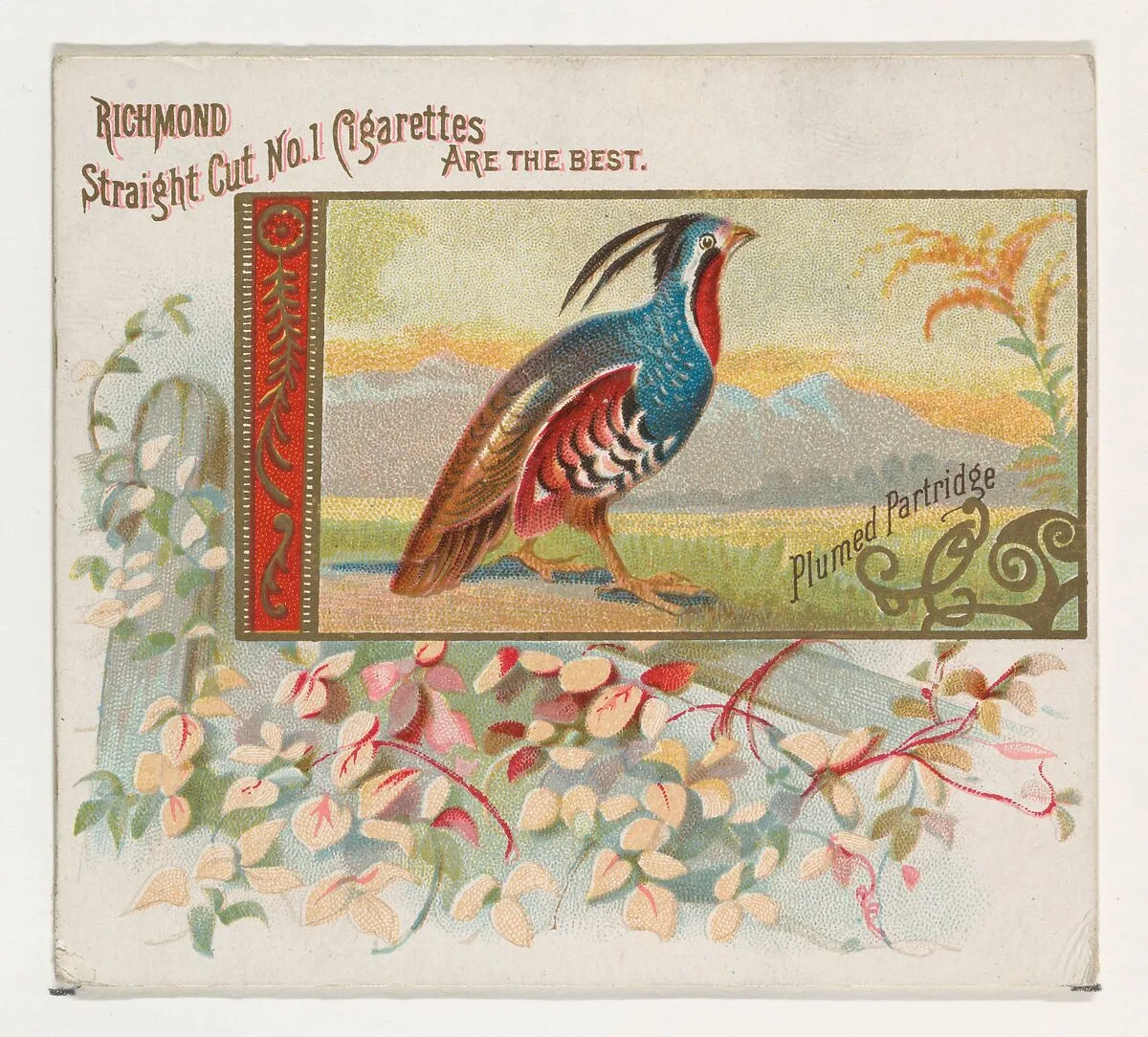 Plumed Partridge, from the Game Birds series (N40) for Allen & Ginter Cigarettes — Allen & Ginter