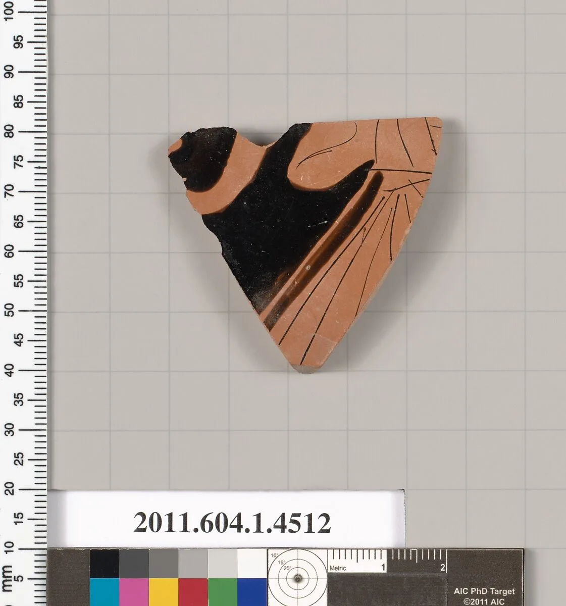 Terracotta fragment of a kylix (drinking cup) — Unknown