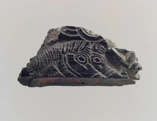 Plaque fragment