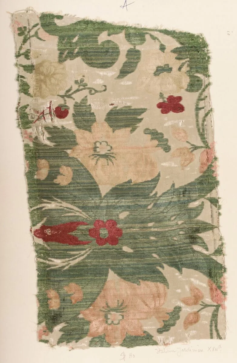 Fragment — Unknown